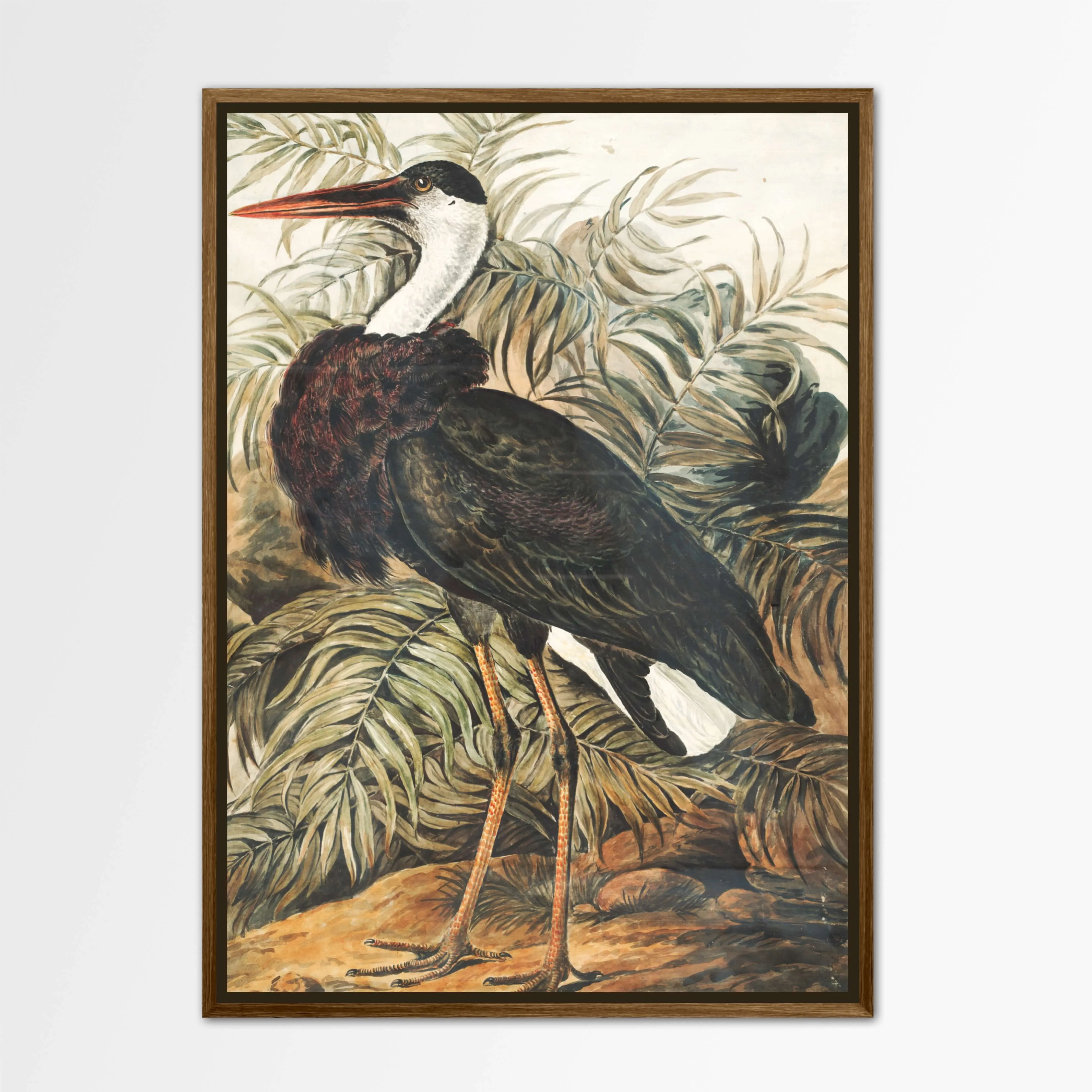 Vintage Stork Print